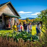 North Country School Photo #12 - The Teaching and Learning kitchen is used to explore how food is used and the vital role we play in building and maintaining healthy bodies and a healthy planet.