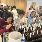 Riverdale Country School Photo #17 - Fourth graders became agents of change by planting native and disease-resistant trees to support local reforestation efforts.