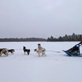 Riverdale Country School Photo #11 - Students dog sled across frozen lakes in Minnesota's Boundary Waters during a winter experiential learning program.