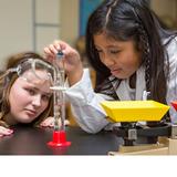 Emerson Montessori School - Palo Alto Photo #2 - Academic excellence