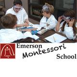 Emerson Montessori Schools - Palo Alto Campus Photo - * Individualized, self-paced core curriculum *Chinese, Spanish, art, music, and PE for all *Year-round, full-day program for grades 1-8 *Cultivation of thinking skills and ethical values *Emphasis on personal goal setting