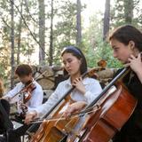 Idyllwild Arts Academy Photo #10 - The Music Department offers concentrations in Classical Music, Voice and Piano; Jazz Music, Voice and Piano; and Songwriting. Our curriculum combines performance opportunities with music academics and private lessons with some of the top musicians in Southern California.