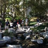Maranatha High School Photo #3 - Located on the former Ambassador College campus, Maranatha's grounds are stunning, complete with koi ponds, fountains, and lush landscape.