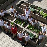 St. St.ephen Of Hungary School Photo #6 - In the St. Stephen School rooftop garden, students help grow vegetables and other edible plants. This interactive learning space allows science to come alive as students engage in planting, measuring, caring for, and ultimately harvesting lettuce, broccoli, herbs, and much more.
