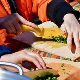 The Waldorf School Of Garden City Photo #10 - Students preparing food with produce from our organic garden in their horticulture class.