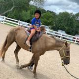 Westbury Friends School Photo #7 - We love to visit the horses with our parents of Metropolitan Equestrian Team!