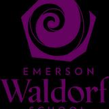Emerson Waldorf School Photo