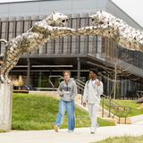 Greensboro Day School Photo #9 - Upper School students walk on campus between classes.