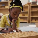 The Montessori School Of Raleigh Photo #6