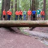 New Hope Christian Academy Inc Photo #9 - In the Redwood Forest, California