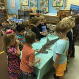 The Children's Schoolhouse Montessori Preschool Of Wilmington Photo #9 - Marine Science at The Children's Schoolhouse Montessori! Children learn about marine animals and our wonderful coastal environment. We have many future marine scientists enrolled in our school!