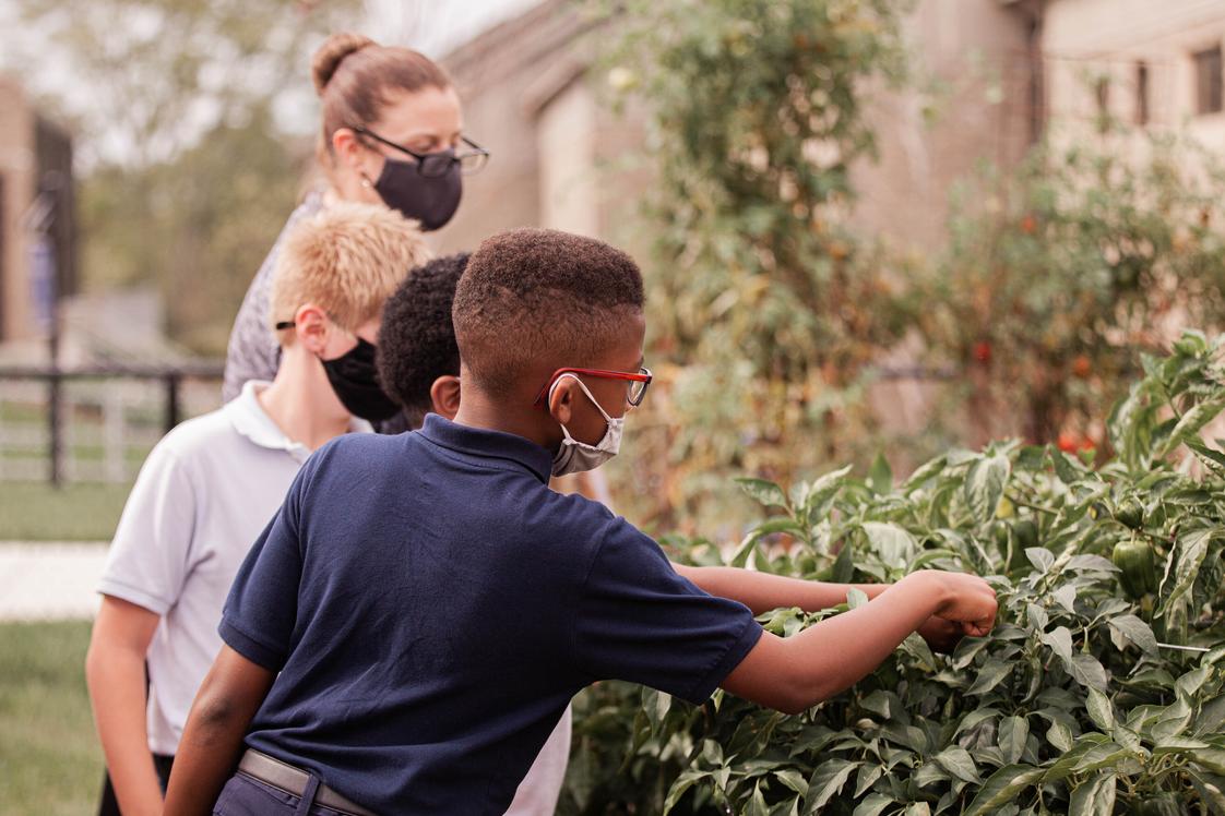 Bethany School Photo - Intermediate school students exploring the community garden.