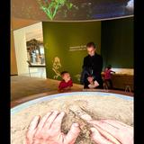 Cleveland Montessori Photo - Frequent visits to the University Circle cultural instiutions serve as extensions of the classroom experience.