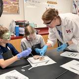 Metro Christian Academy Photo #11 - Shark Heart Dissection