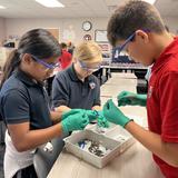 Metro Christian Academy Photo #3 - Metro's 5th-grade scientists got hands-on as they dissected owl pellets and discovered what an owl had for dinner! It was a fun way to investigate, observe, and learn more about the food chain and animal adaptations.