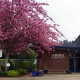 Abiqua School Photo - Abiqua School is located just south of Salem, in the countryside of the beautiful Willamette Valley.