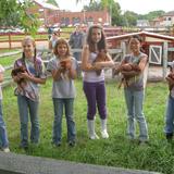 St. Stephens Lutheran Academy Photo #5 - Small Animal Education and Activities at St. Stephen's