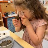 New School Montessori Photo #2 - New School Montessori classrooms are more than a place to learn! They are where children gain confidence, independence, and a love for discovery.