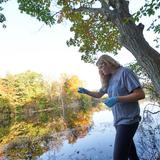 Westtown School Photo #4 - The 14.5 acre Westtown Lake provides a living laboratory for students of all ages.