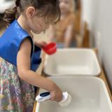 Charles Towne Montessori School Photo #8
