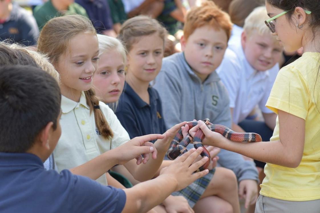Silverdale Baptist Academy Photo - Elementary students learning about snakes in our Outdoor Ed Initiative.