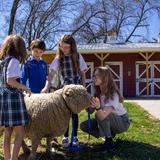 Overbrook Catholic School Photo - Students petting sheep at Beyond the Brook Farm, an extension of the STEM program at Overbrook Catholic School in Nashville, TN.