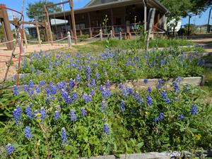 Aggieland Country School Photo