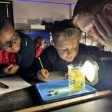 All Saints Episcopal School Photo #2 - Science Fun