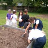 God's Rainbow Christian Academy Photo #2 - Gardening, gwoing their own Veggie Garden-Joshua-Generation another tool of engagin our student to develop a sense of belonging, while learning good health habits. We have to make these young children feel that they are necessary. Certain things for which youth craves ?? the chance for self-sacrifice for an ideal.
