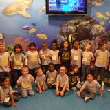 Fate Christian Academy Preschool Photo #6 - Legoland Sea World Field Trip