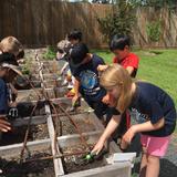 Spell Well Montessori School Photo #7 - Each student taking care of their vegetable patch.