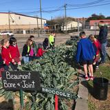 St. Anne Catholic School Photo #7 - Students working and learning in the Giving Field. All food grown in the field is donated to the local soup kitchen.