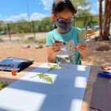 The Montessori Academy Photo #8 - Elementary Botany - Outdoor Classroom