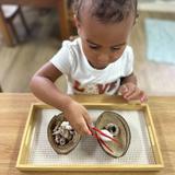 Country Day Montessori School Photo #6 - Pre-Primary, ages 18 months through 3 years old, focusing on their transfer work
