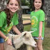 Country Day Montessori School Photo #7 - Meet our goat!