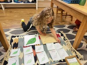 Country Day Montessori School Photo