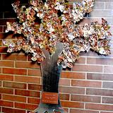 Blessed Sacrament School Photo #7 - Winner of a 2011 Innovative Practice Award from the Eunice Kennedy Shriver Community of Caring, this tree was created by all of the students under the direction and guidance of our Art Teacher Mrs. Mullholand.