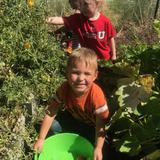 Grace Lutheran School Photo #10 - Pre-School in the Grace Giving Garden.Our Pre-School has full-day and half-day options, as well as full-week or partial-week. They are afforded wonderful opportunities to connect with the older classes, play in our donation gardens (operated by 4th grade), go on field trips around the community, and much more.