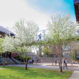 St. Johnsbury Academy Photo - Streeter Bridge overlooks our outdoor amphitheater and is the entrance to Streeter Hall which houses our STEM program, our Career and Technical Education program and our Dining Hall.