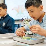 St. Thomas Aquinas Regional School Photo #13