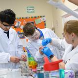 The Nysmith School Photo #3 - Exploring the Wonders of the Human Body! Our curious fifth graders, guided by their dedicated teacher, are diving into the fascinating world of kidney functions. They're learning how this vital organ processes and filters our body's fluids.