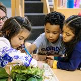 Epiphany School Photo #10 - Starting with our littlest learners in Pre-K, our talented faculty weave the school's core values into each grade's learning experience, helping every student grow in character, independence, confidence, and leadership over time.