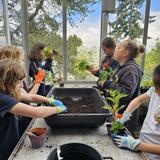 Hope Lutheran School Photo #13 - Garden Club is one of the fun opportunities at Hope School to get involved in. Students gather at our North campus at the greenhouse to learn about seeds, seedlings, planting, and harvesting. They apply what they learn to host an annual spring plant sale for the school and community.
