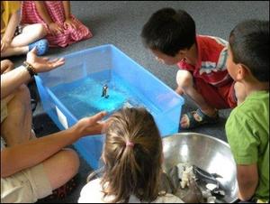 Tlc Montessori Photo