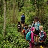 Whidbey Island Waldorf School Photo #8 - Forest Walking.