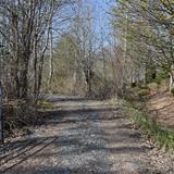 Woodinville Montessori School | Woodinville Campus (Early Childhood only) Photo #6 - Students enjoy class nature walks to 21 Acres farm.