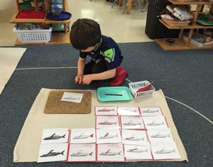 Woodinville Montessori School | Woodinville Campus (Early Childhood only) Photo