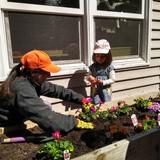 Woodinville Montessori School - Woodinville Campus (Early Childhood only) Photo #2 - Parents and students get together each year on Earth Day, to beautify the Woodinville campus.