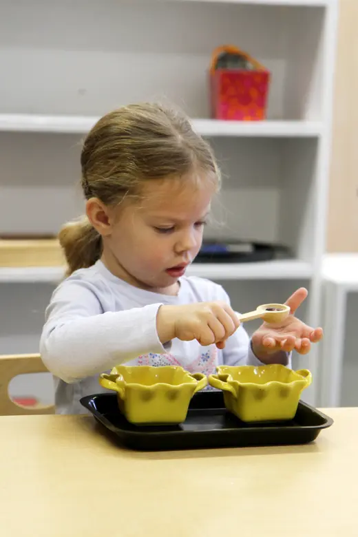 New World Montessori School Photo #2