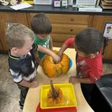 Sacred Heart Catholic School Photo #7